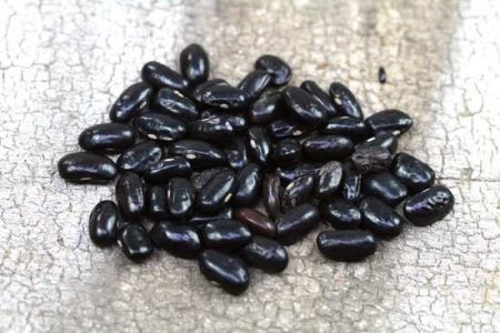 ‘Cherokee Trail of Tears’ beans